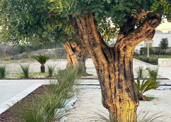 Donna Crescenza 4* Locorotondo